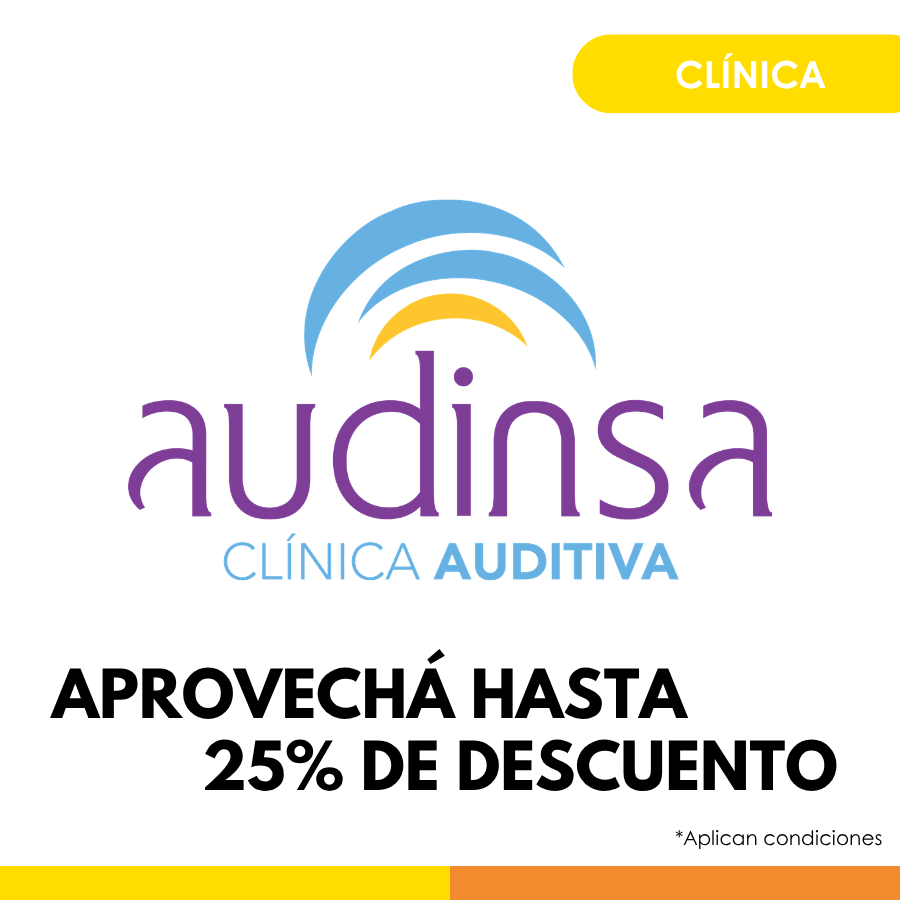 Audinsa